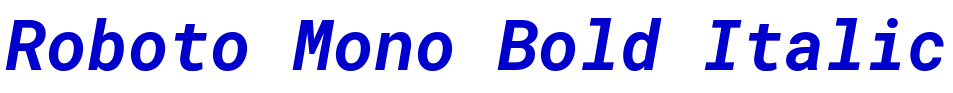 Roboto Mono Bold Italic 字体